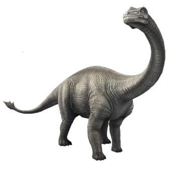 shunosaurus