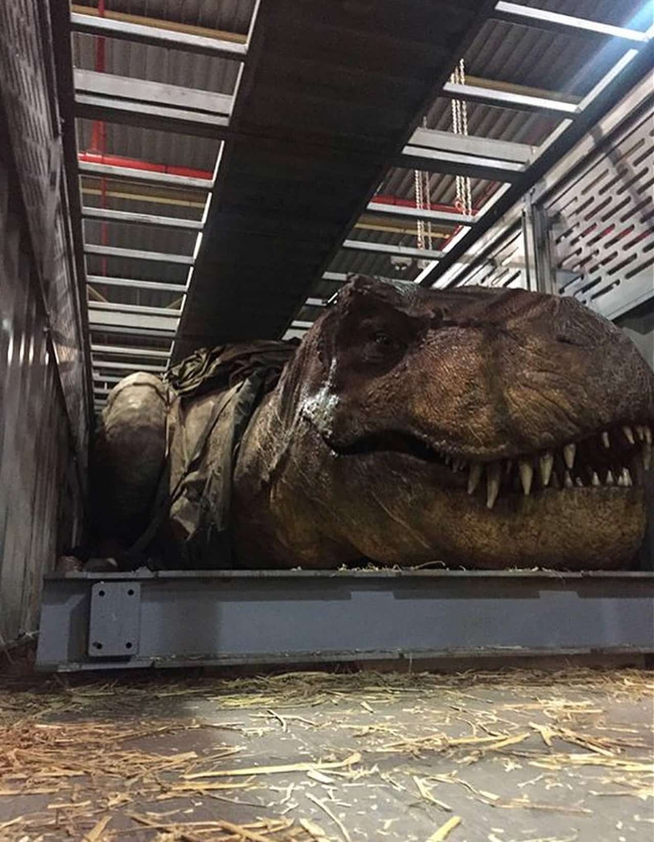 Tyrannosaurus rex animatronic (Fallen Kingdom) | Jurassic Park wiki | FANDOM powered by Wikia