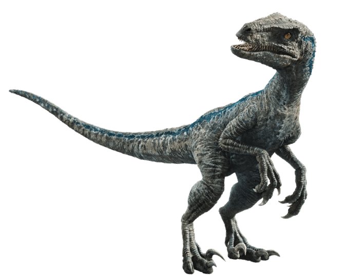 velociraptor kingdom