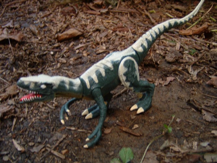 cyclops velociraptor