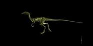 jurassic world fallen kingdom compsognathus
