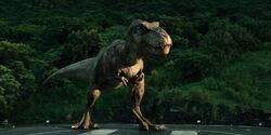 Jurassicvault JW 4kHD 427