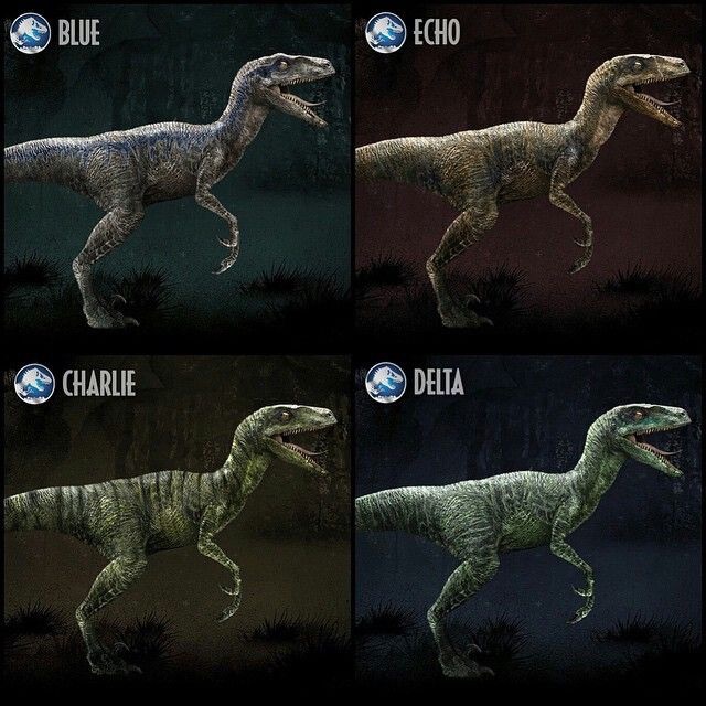 Image Raptor  Pack  jpg Jurassic  Park wiki FANDOM 
