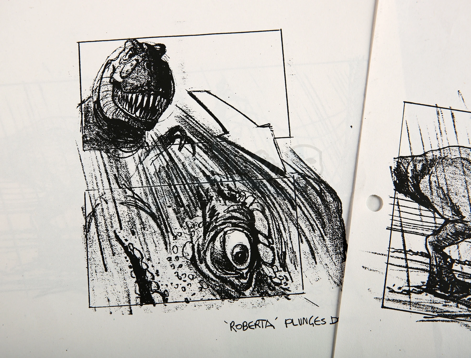 ハモンドコレクション ジミー・バフェット ディモルフォドン