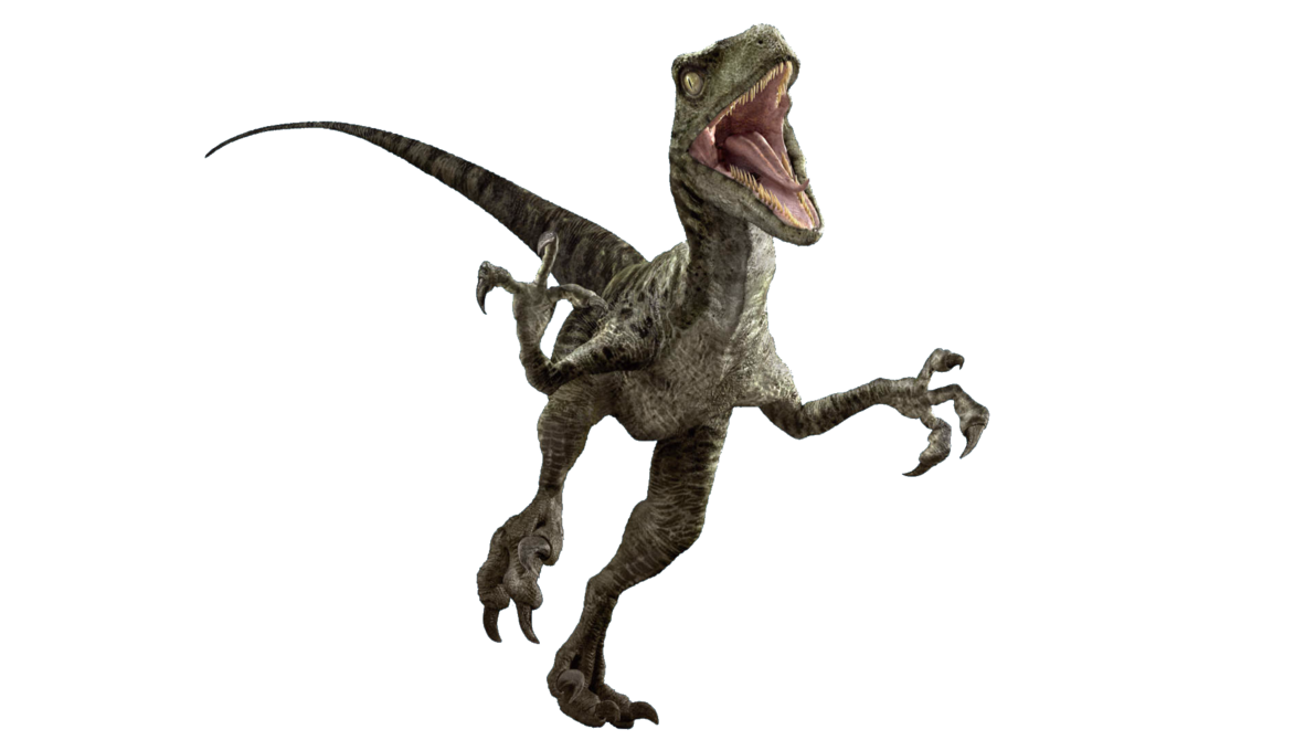 Image Jurassic World Velociraptor V3 By Sonichedgehog2 Da77482png 