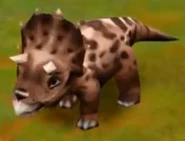 Triceratops (Baby) (Lvl. 11-14).jpg (18 KB) Triceratops (Baby) (Lvl. 11-14)