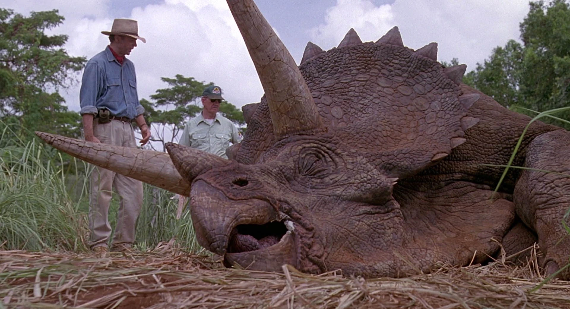 Image result for images of sick triceratops