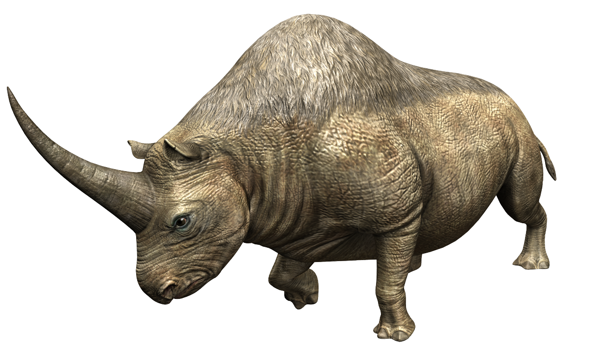 Elasmotherium | Jurassic Park Wiki | Fandom