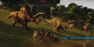 jurassic world pentaceratops
