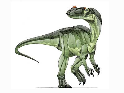 proceratosaurus jwe