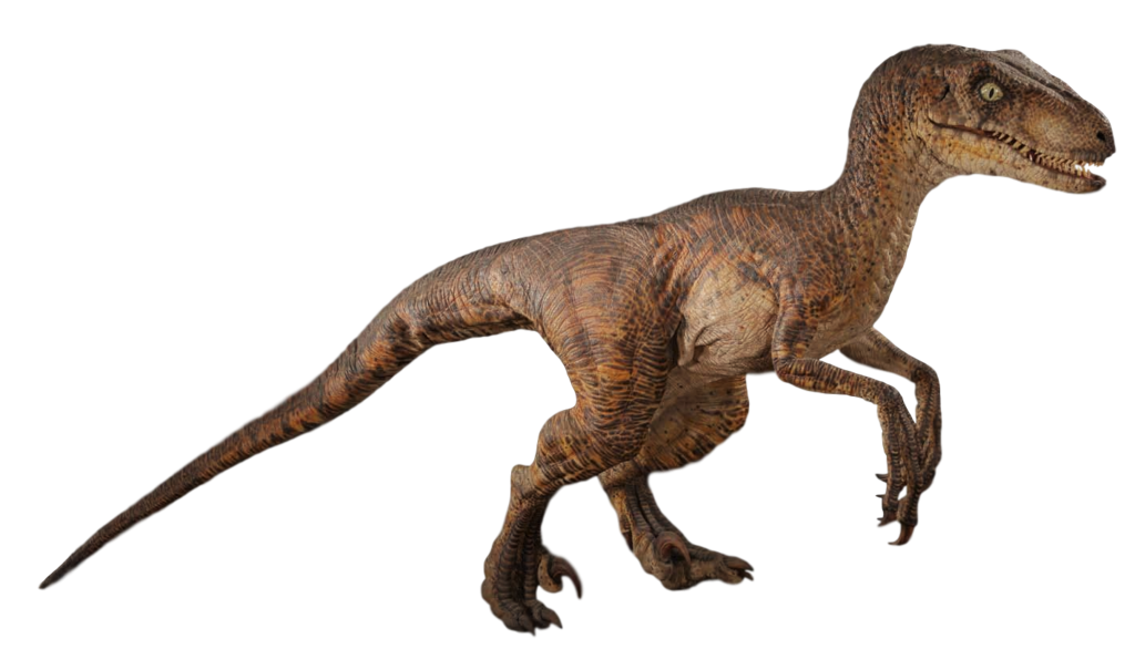 Image Jurassic Park Velociraptor By Camo Flauge Dcewck1png Jurassic Park Wiki Fandom 