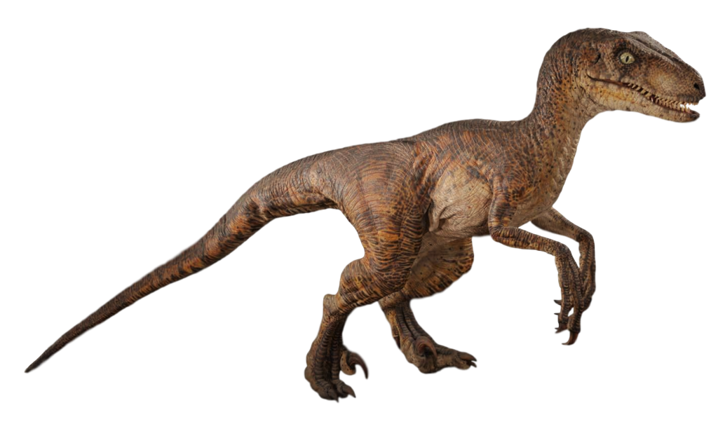 velociraptor the lost world jurassic park