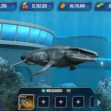 Mosasaurus Jurassic Park Wiki Fandom