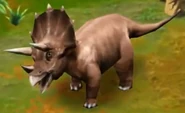 Triceratops (Adult) (Lvl. 5-10).jpg (40 KB) Triceratops (Adult) (Lvl. 5-10)