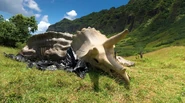 Triceratops skelton fallen kingdom.jpg (241 KB) Triceratops skelton fallen kingdom