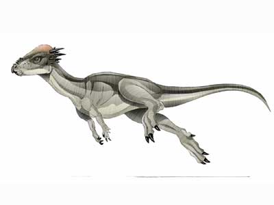 dino stygimoloch