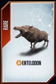 Entelodon card