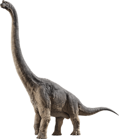 Pics Of Brachiosaurus Brachiosaurus Jurassic Park Wiki FANDOM powered by Wikia