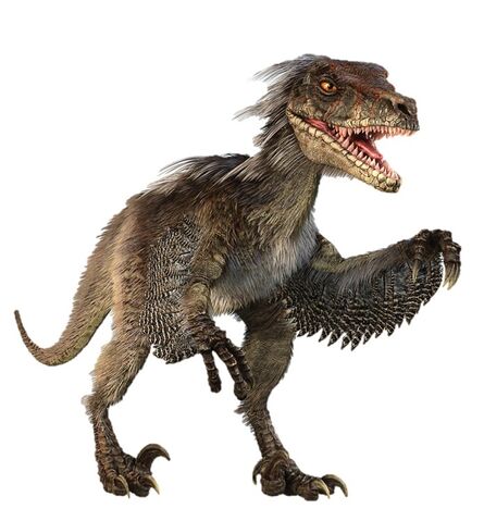 Archivo:Velociraptor-Feather.jpg