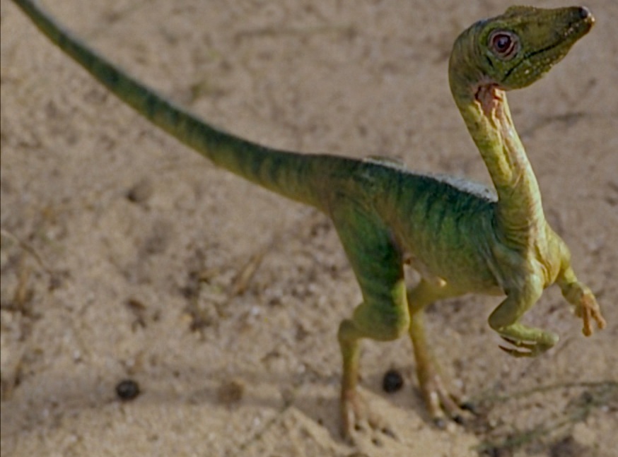 jurassic world evolution compsognathus