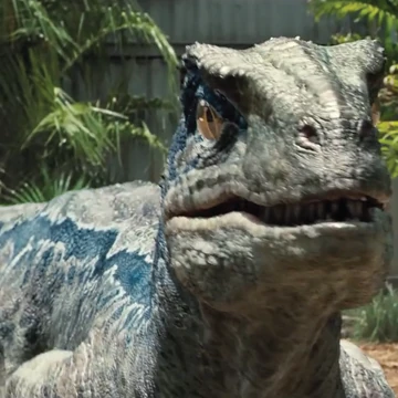 Blue | Jurassic Park wiki | Fandom