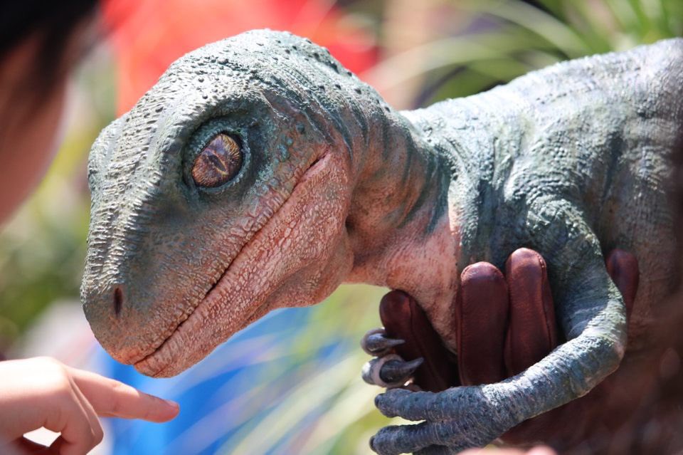 Tango (raptor) | Jurassic Park wiki | Fandom