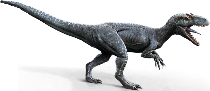 jwe allosaurus