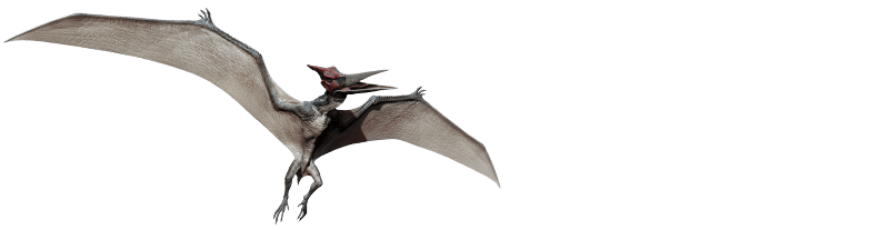 Image - Pteranodon-info-graphic.png | Jurassic Park wiki | FANDOM powered by Wikia