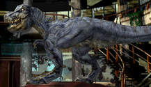 Trexcanvas
