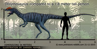 Dilophosaurus-size (1)