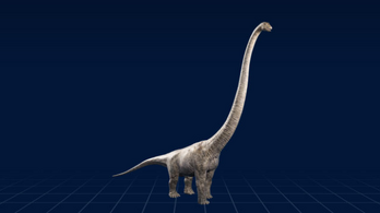 mamenchisaurus fossil