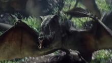 Dimorphodon in avairy
