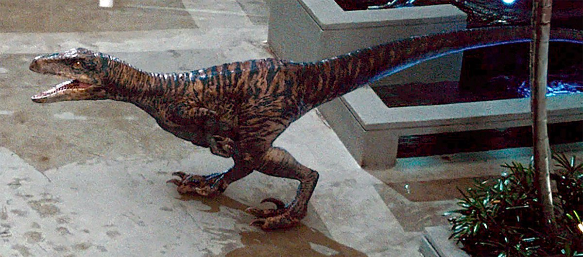 velociraptor jw alive