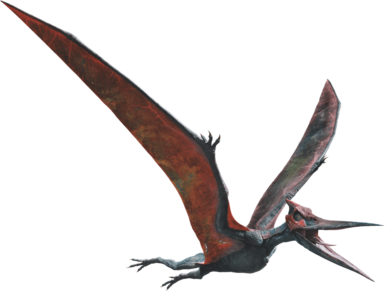 Image - Jurassic world fallen kingdom pteranodon v2 by sonichedgehog2-dcdv3ml.png | Jurassic