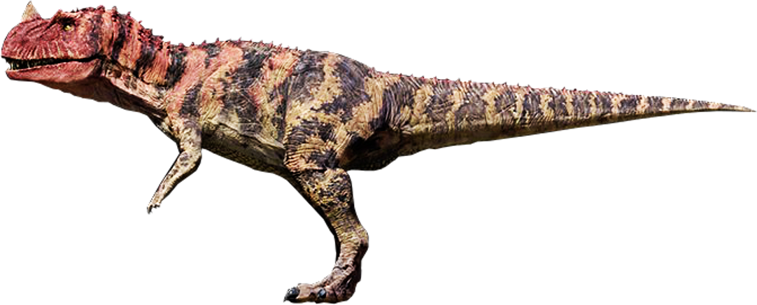 Ceratosaurus Wikia Jurassic Park Fandom 