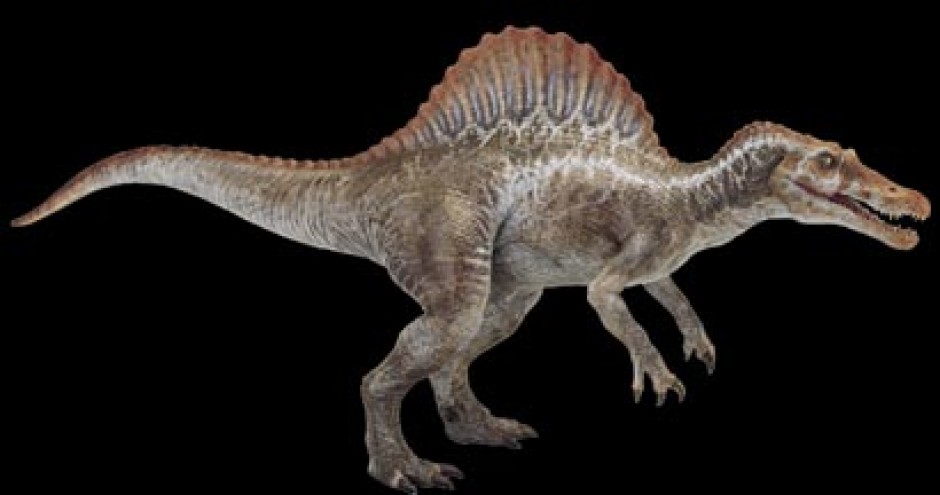 upright dinosaur with fin on head