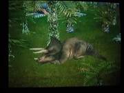 Triceratops sleeping