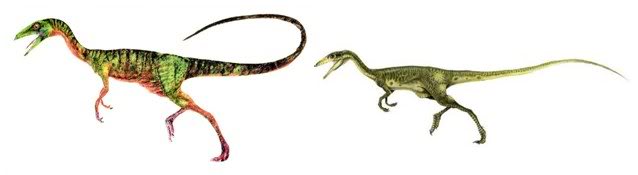 Compsognathuslongipes (2)