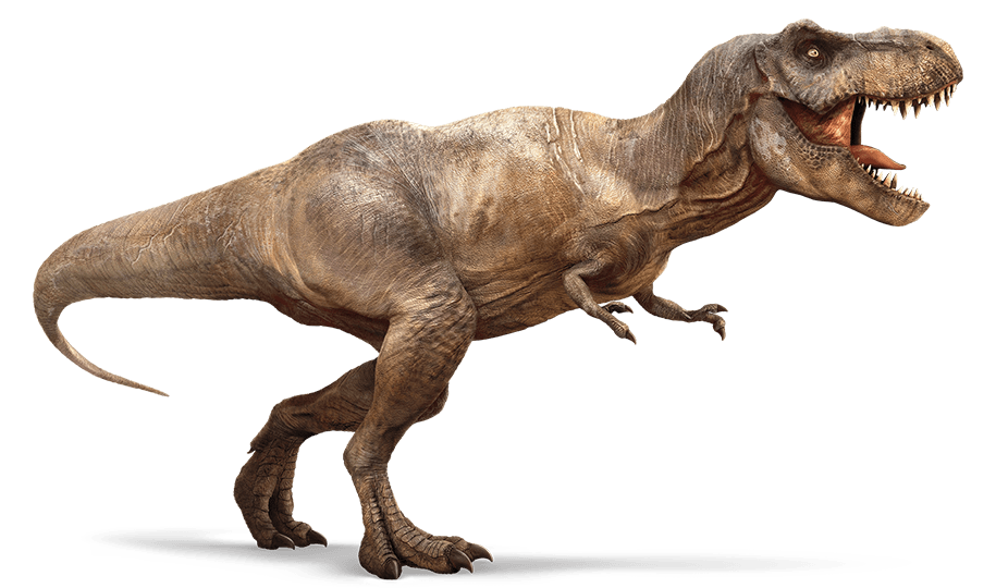 Tyrannosaurus Rex