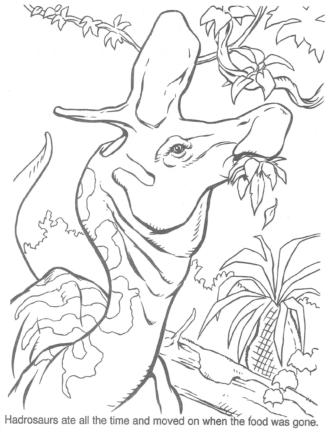 TLW Coloring Page 1