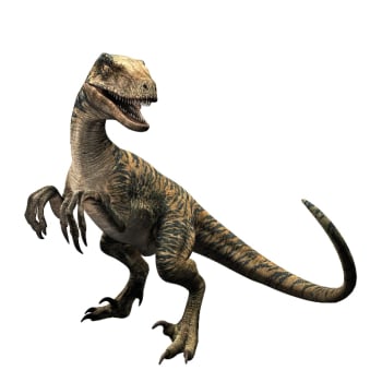 Imagen - Velociraptor-jurassic-world-the-game.jpeg | Jurassic Park Wiki ...