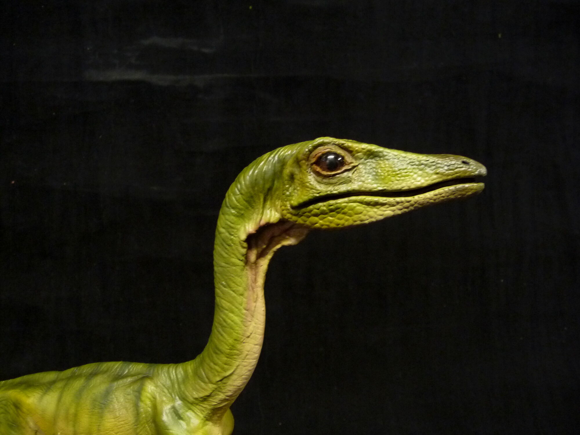 jurassic world evolution compsognathus
