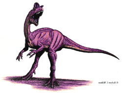 Sinosaurus