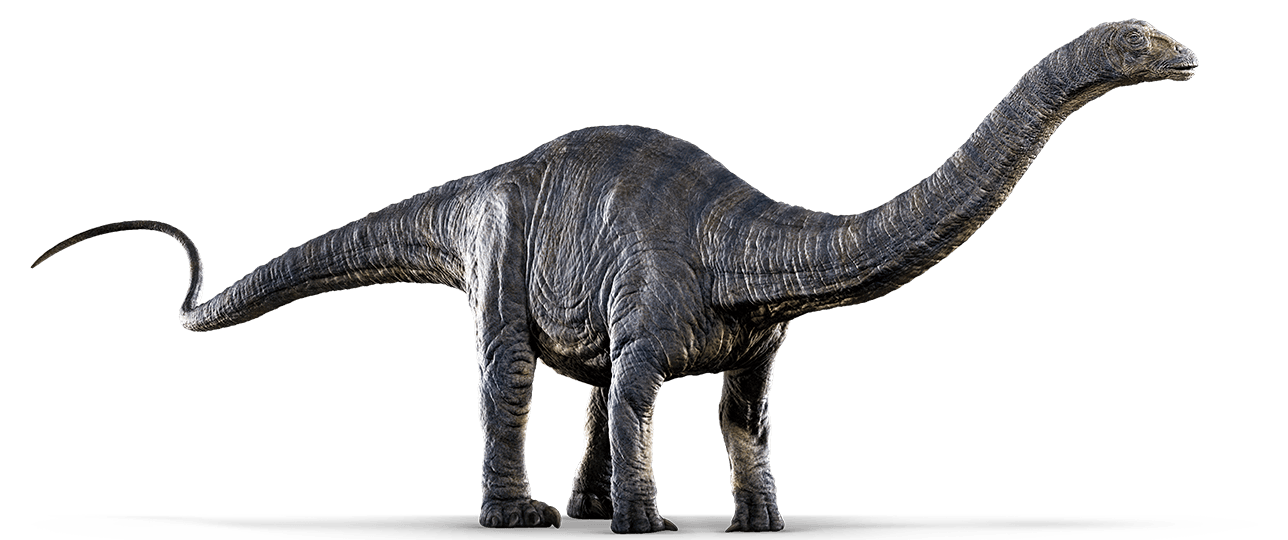 apatosaurus evolution