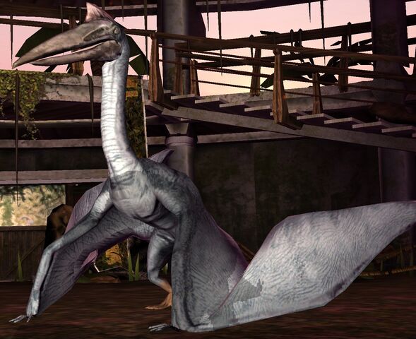 File:Quetzalcoatlus lvl. 10.jpeg