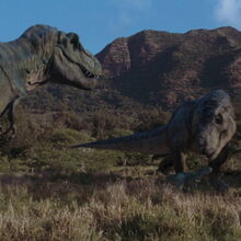 Tyrannosaur Buck Jurassic Park Wiki Fandom