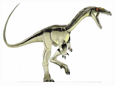 procompsognathus jurassic park wiki