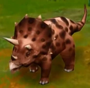 Triceratops (Adult) (Lvl. 25-30).jpg (31 KB) Triceratops (Adult) (Lvl. 25-30)
