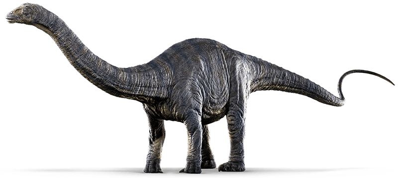 apatosaurus brachiosaurus