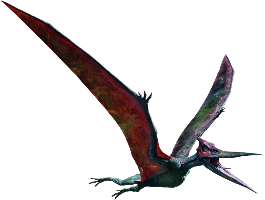 pteranodon is not a dinosaur